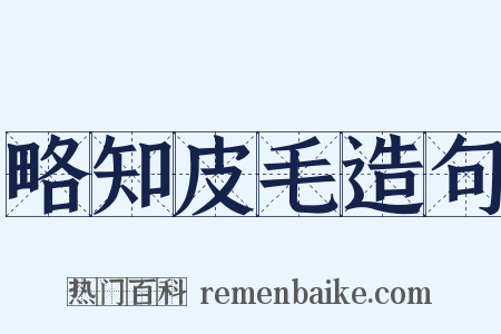 略知皮毛造句是什么意思的图片